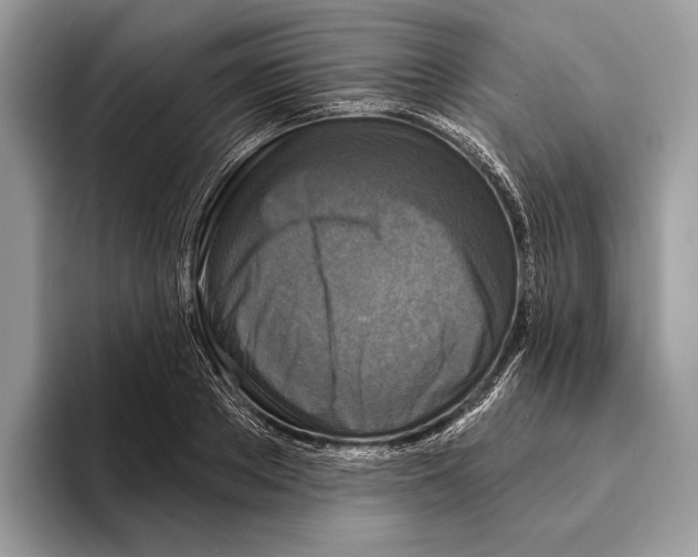 X0000095530889200801111411