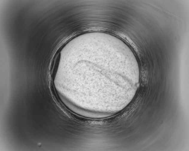 X0000095530890200801111411