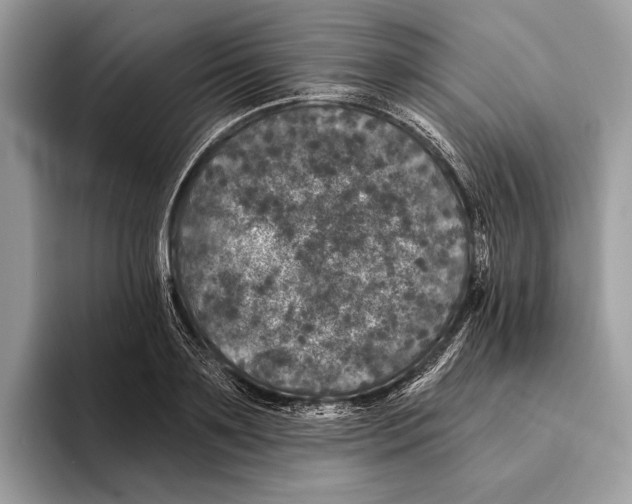 X0000095530891200801111411