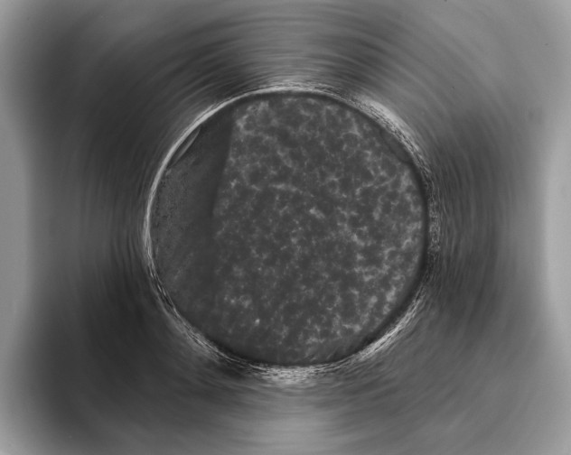 X0000095530892200801111411