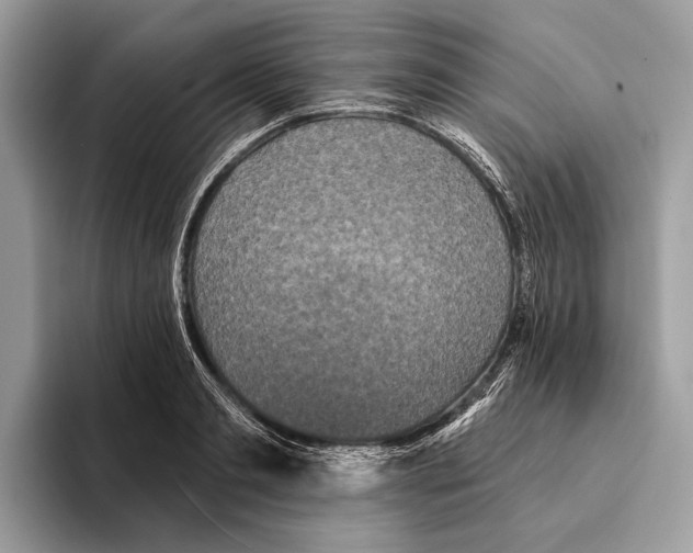 X0000095530893200801111411