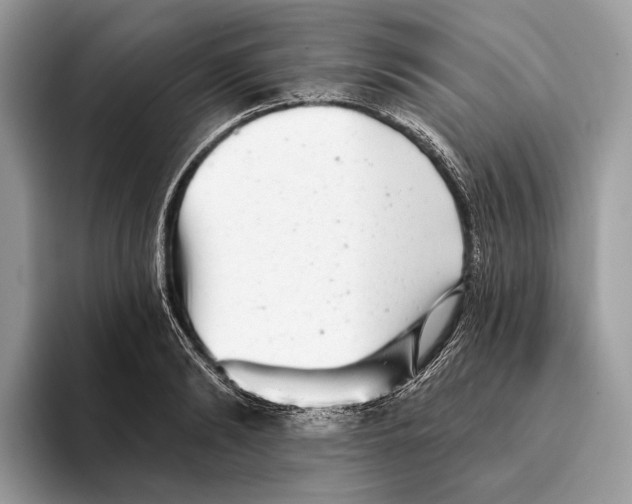 X0000095530894200801111411