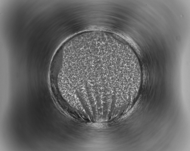 X0000095530896200801111411