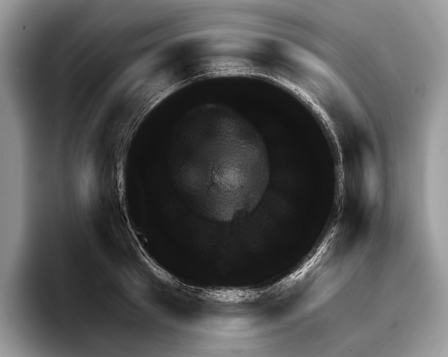 X0000095530897200801111411