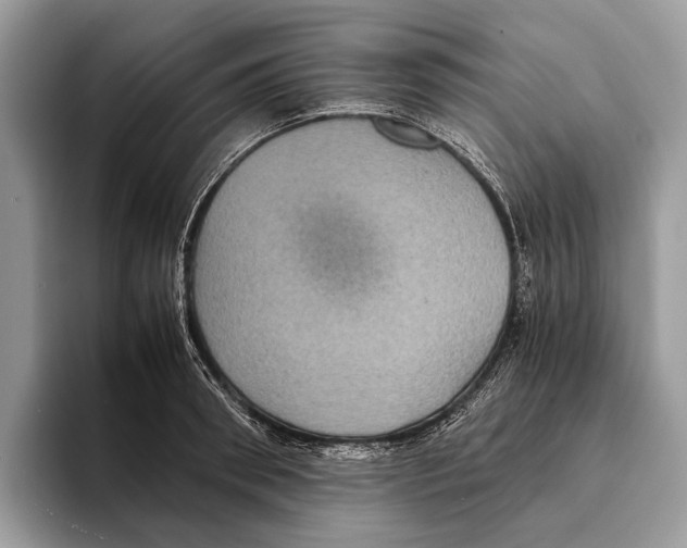 X0000095530898200801111411