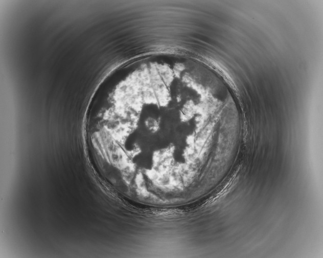 X0000095530899200801111411