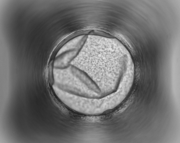 X0000095530900200801111411