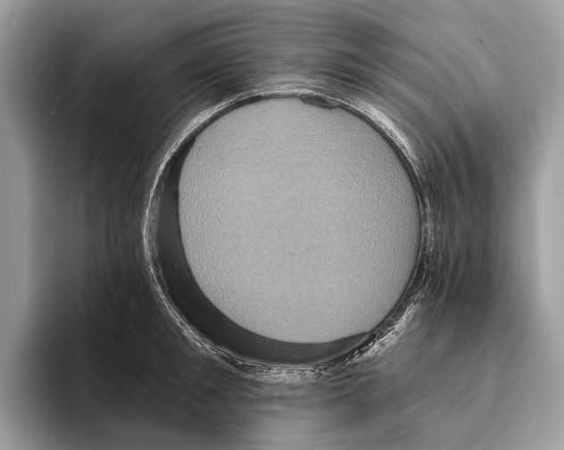 X0000095530901200801111411