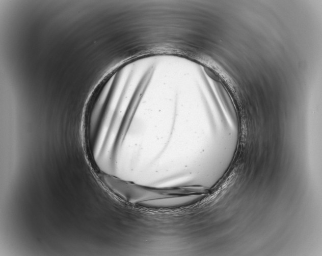 X0000095530902200801111411