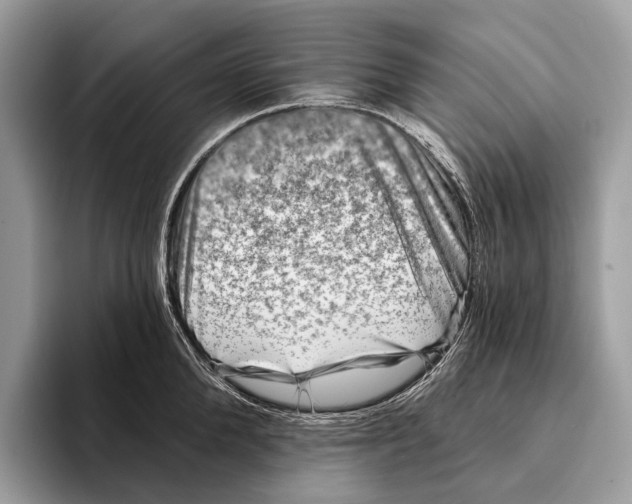 X0000095530904200801111411