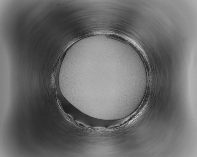 X0000095530905200801111411