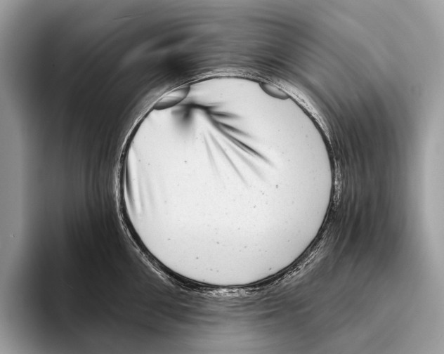 X0000095530906200801111411