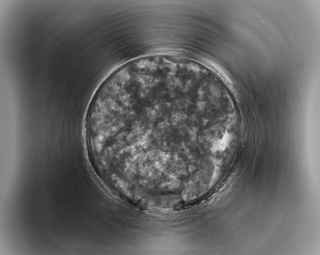 X0000095530907200801111411