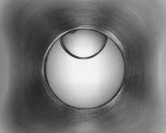 X0000095530908200801111410