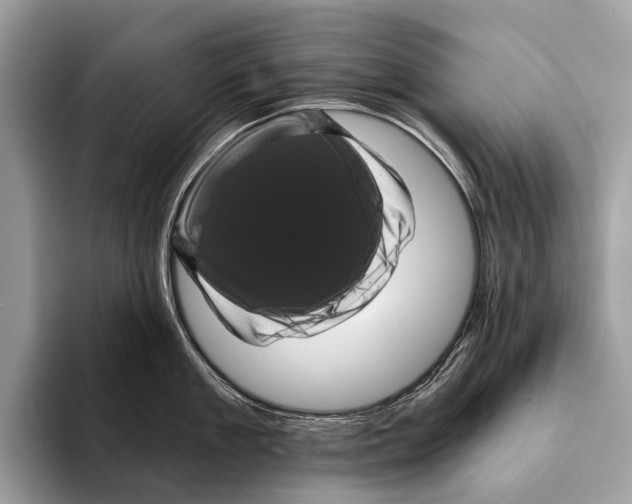 X0000095530909200801111410