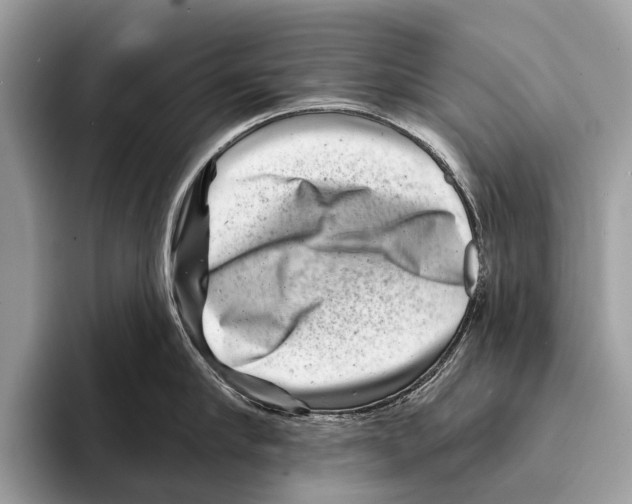 X0000095530910200801111410