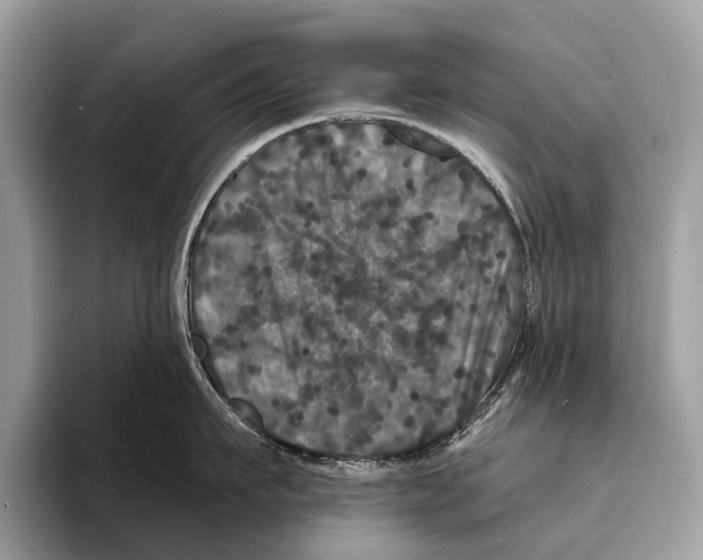 X0000095530911200801111410