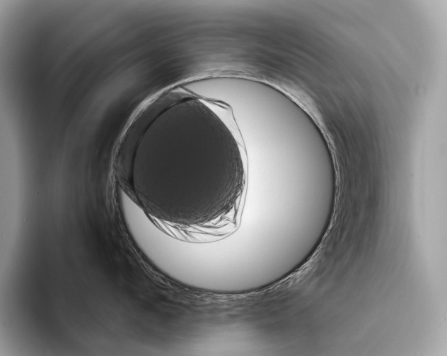 X0000095530912200801111410