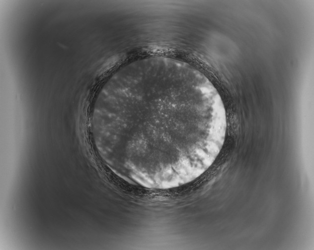 X0000095530913200801111410