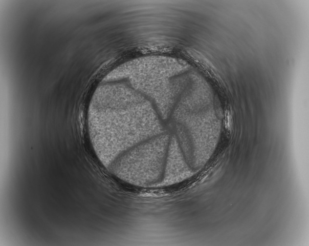 X0000095530915200801111410