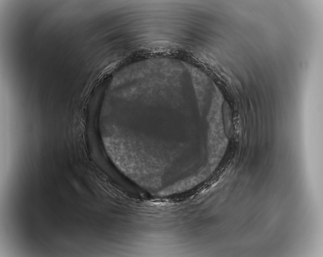 X0000095530916200801111410