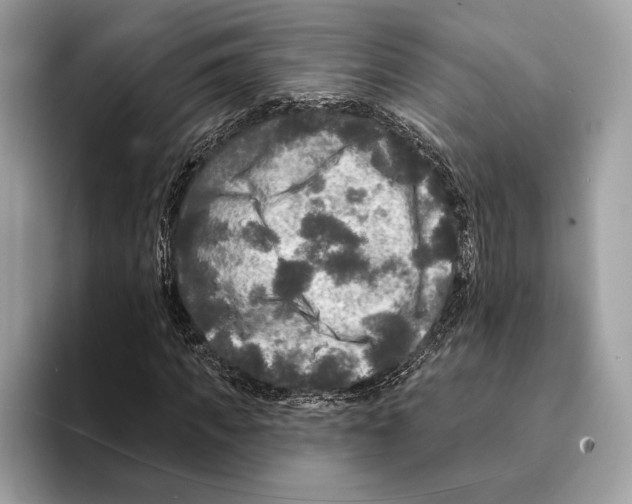 X0000095530917200801111410