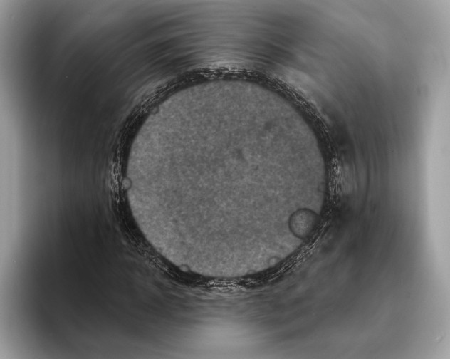 X0000095530918200801111410