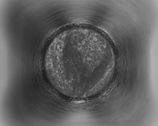 X0000095530919200801111410