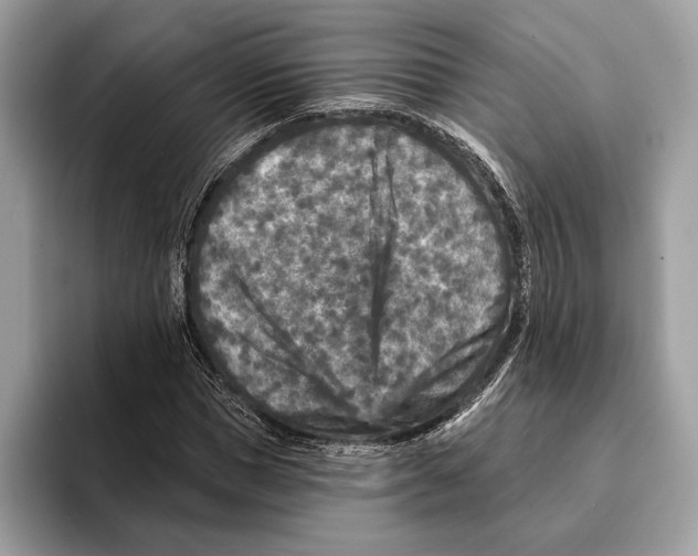 X0000095530921200801111410