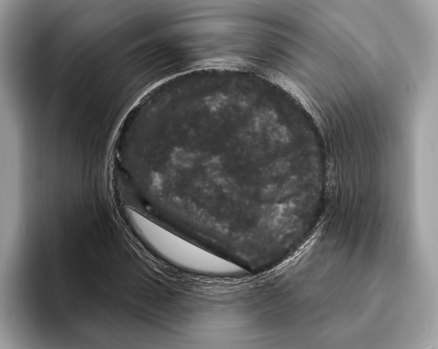 X0000095530923200801111410