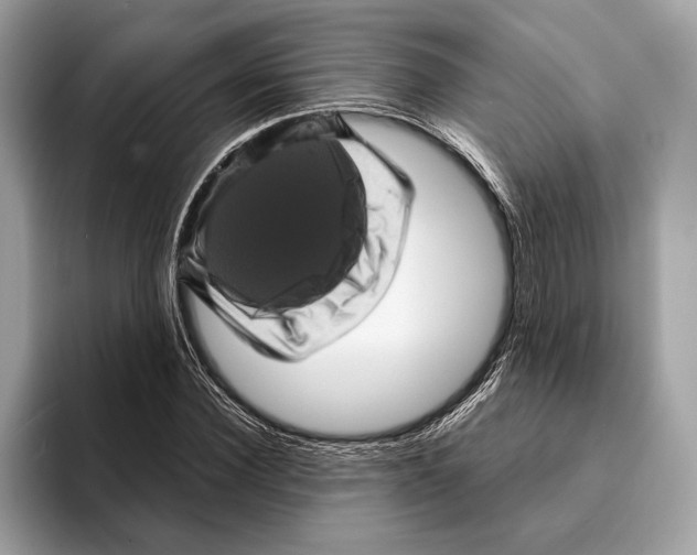 X0000095530924200801111410