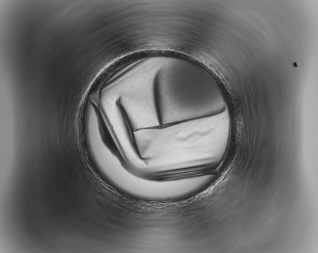 X0000095530926200801111410