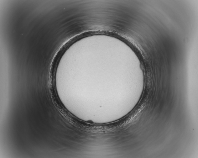 X0000095530927200801111410