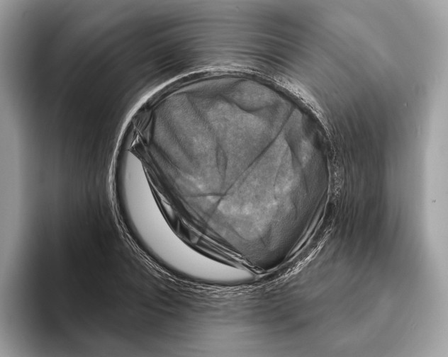 X0000095530928200801111410