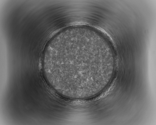 X0000095530929200801111410