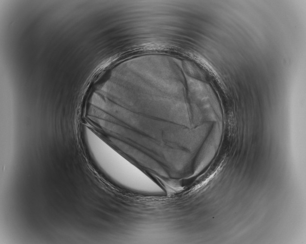 X0000095530930200801111410