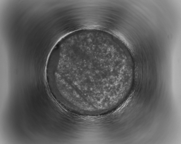 X0000095530932200801111410