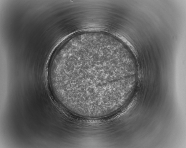 X0000095530933200801111410