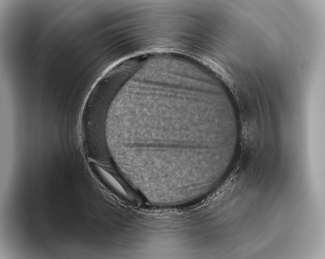 X0000095530934200801111410