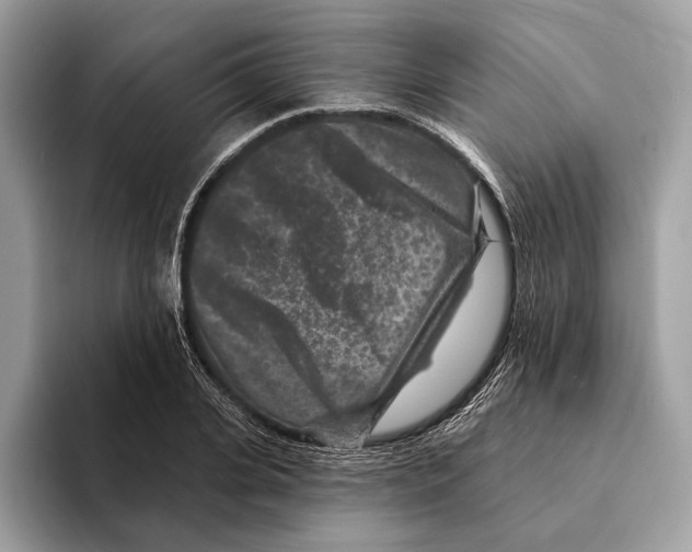 X0000095530935200801111410