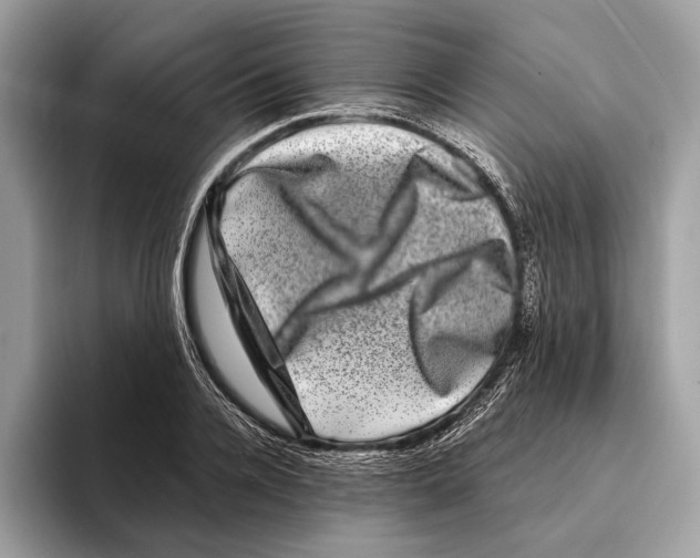 X0000095530936200801111410