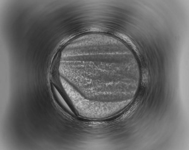 X0000095530938200801111410