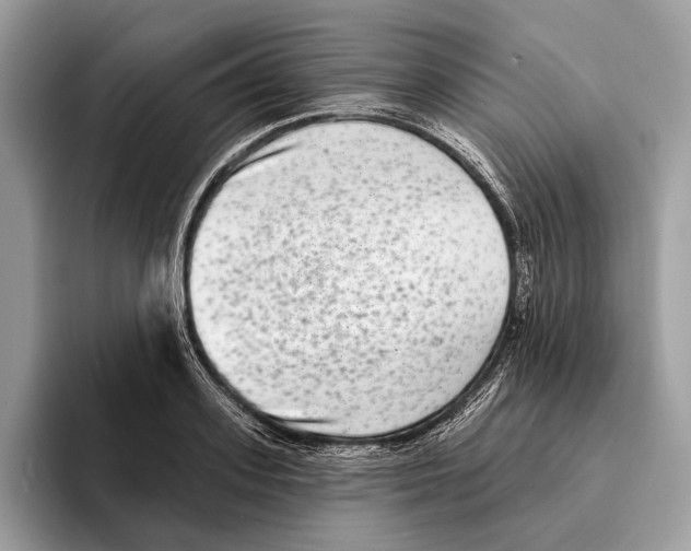 X0000095530939200801111410