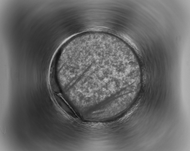 X0000095530940200801111410