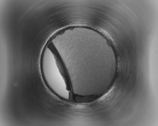 X0000095530942200801111410