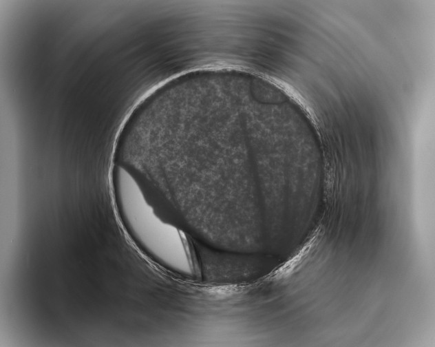 X0000095530943200801111410