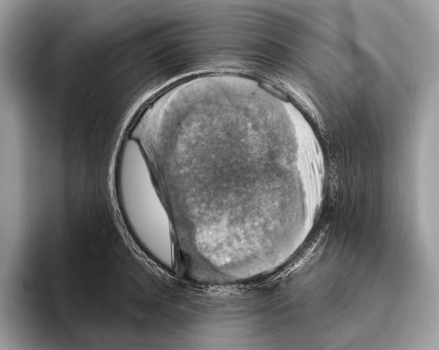 X0000095530944200801111410