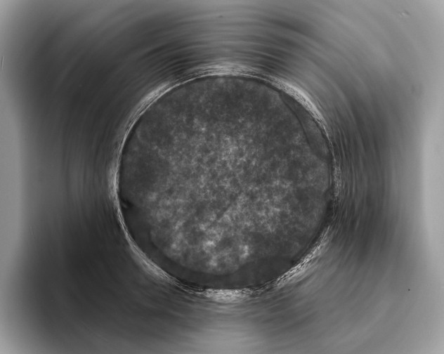 X0000095530946200801111410