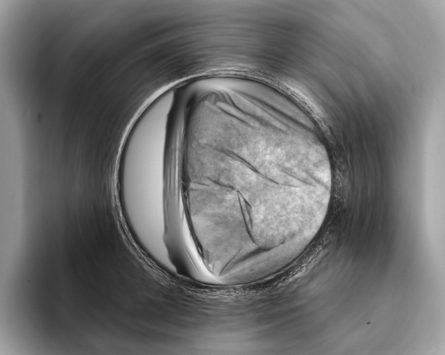 X0000095530948200801111410