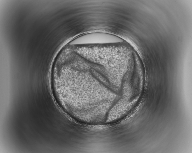 X0000095530949200801111410